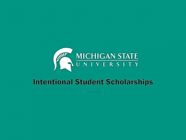 Michigan State University Scholarships for International Students 2023 -2024